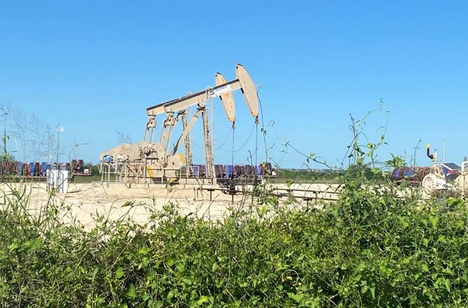 نفت اوپک کرونا - تحلیل اخبار و قیمت نفت وست تگزاس اینترمدیت (WTI)؛ چهارشنبه ۴ فروردین