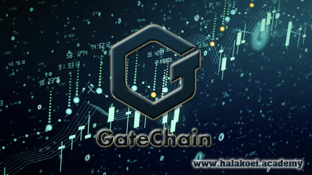 gate chain