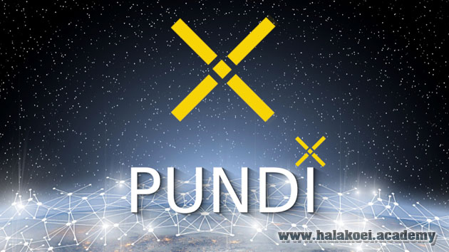 pundi x