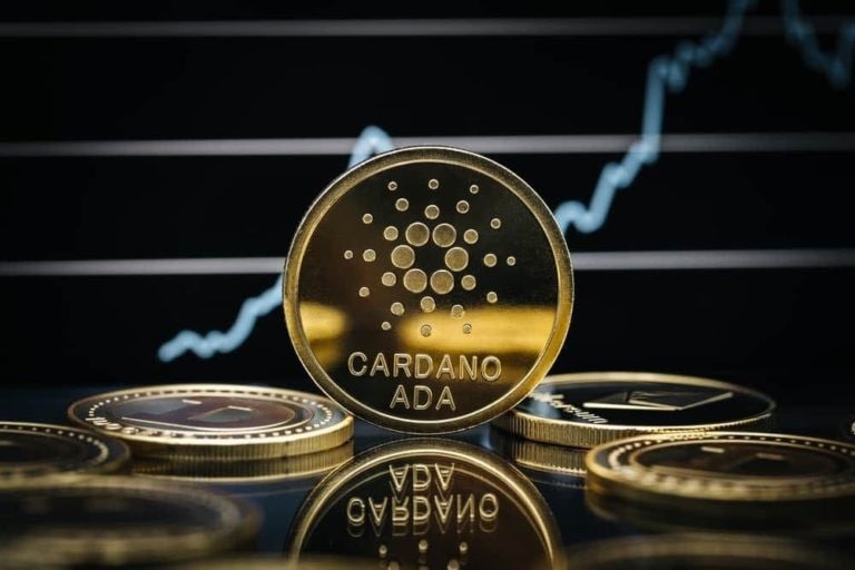 Number of Cardanos wallets grow over 1200 from last Christmas - رشد 1200 درصدی تعداد کیف های پول کاردانو نسبت به کریسمس سال گذشته