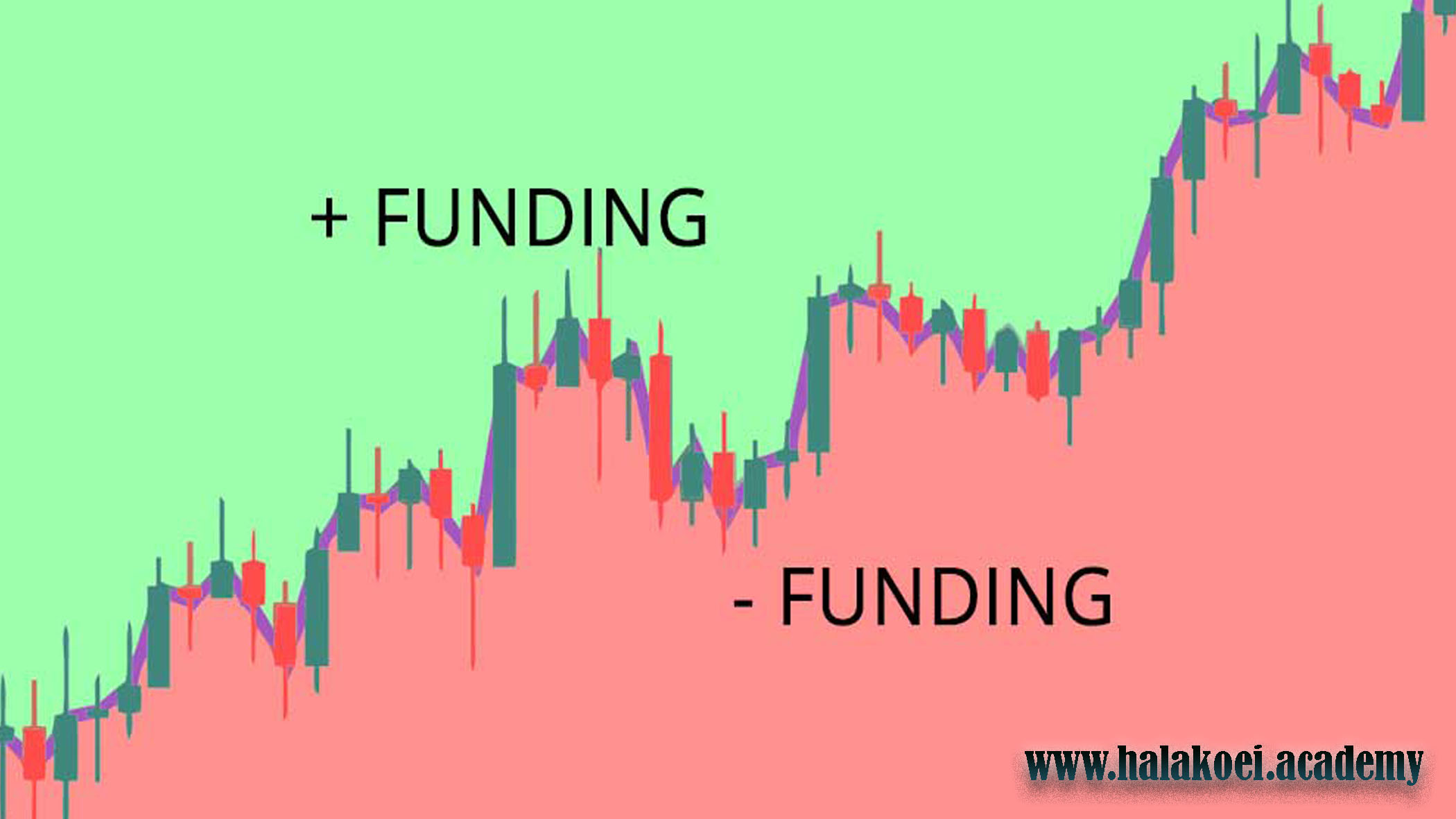 Funding Rates