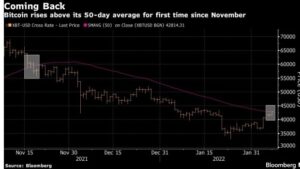 screenshot www.bnnbloomberg.ca 2022.02.07 12 23 53 300x169 - بیت کوین برای نخستین بار از ماه نوامبر به میانگین 50 روزه افزایش یافت